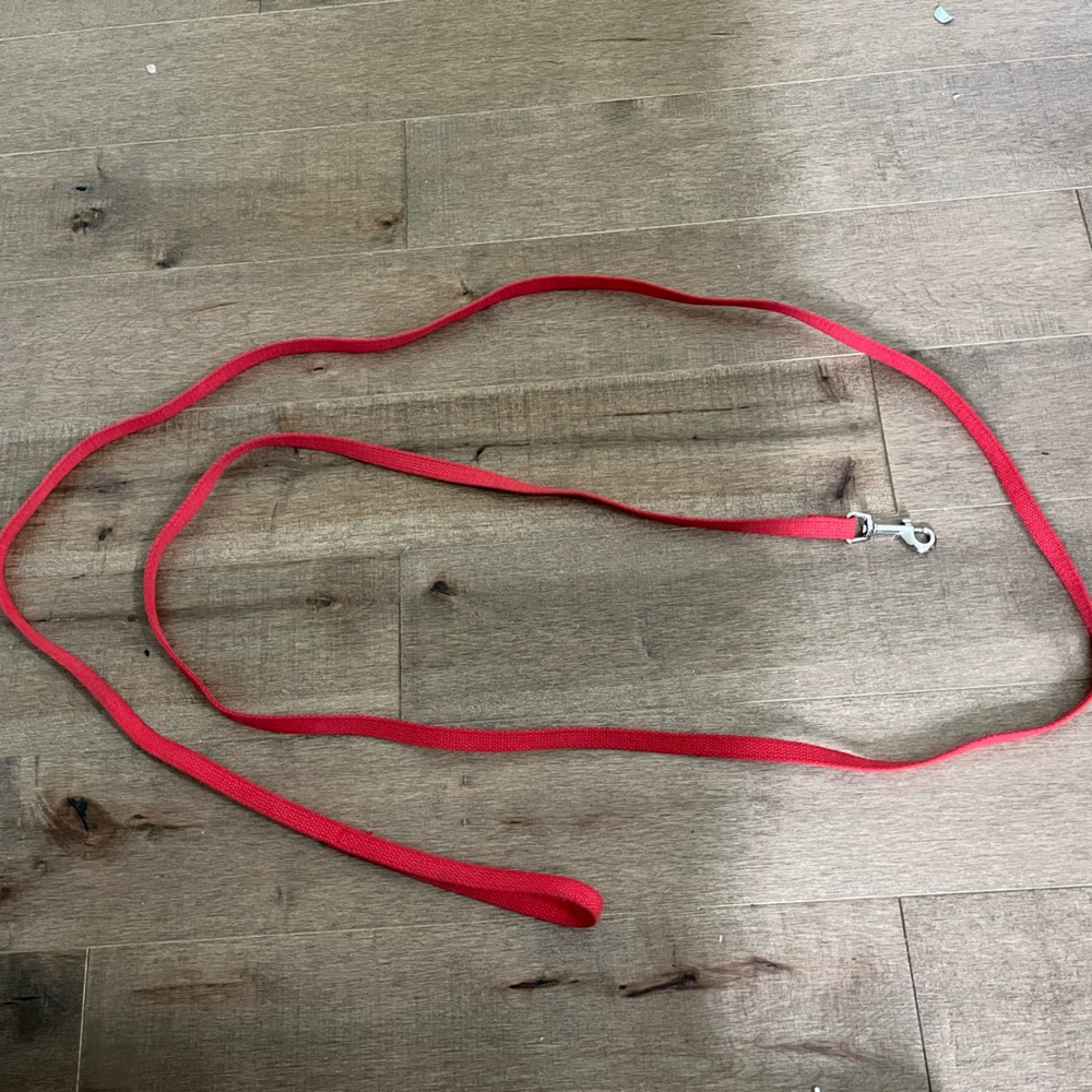 red extra long leash!